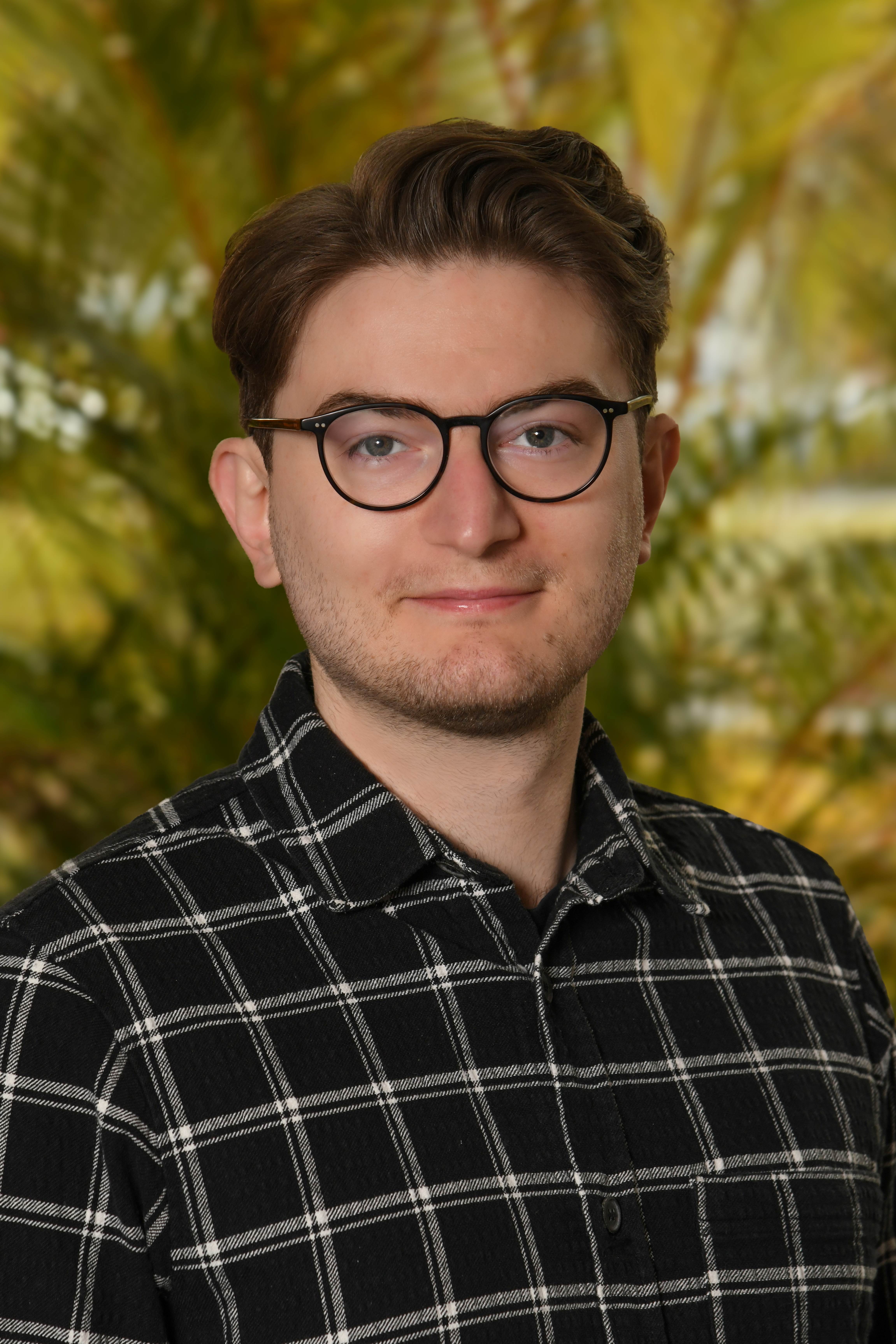 This image for Image Layouts addon